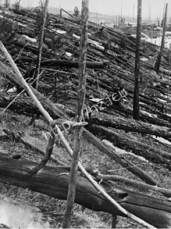 1908通古斯大爆炸